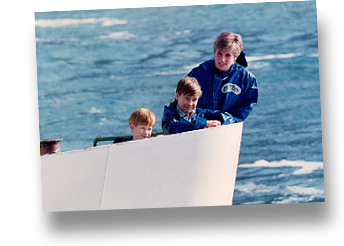 1991